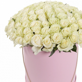  Belek Flower Order 75 White Roses in Pink Box