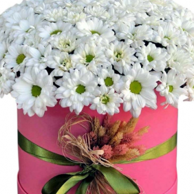  Belek Flower Delivery White Daisy Chrysanthemum in Large Box