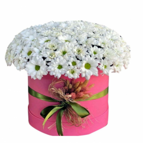  Belek Flower Delivery White Daisy Chrysanthemum in Large Box