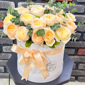 Belek Florist 25 Pion-Rosen in Box