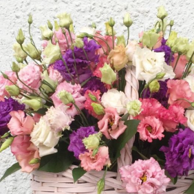  Belek Flower Colorful Lisianthus in Basket Purple Pink White